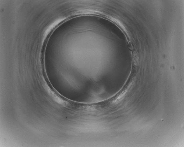 X0000075860995200609151221