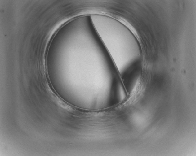 X0000075860996200609151221