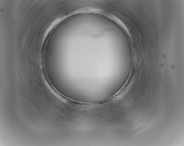 X0000075860997200609151221