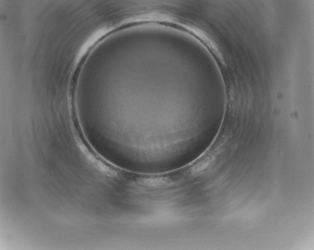 X0000075860998200609151221