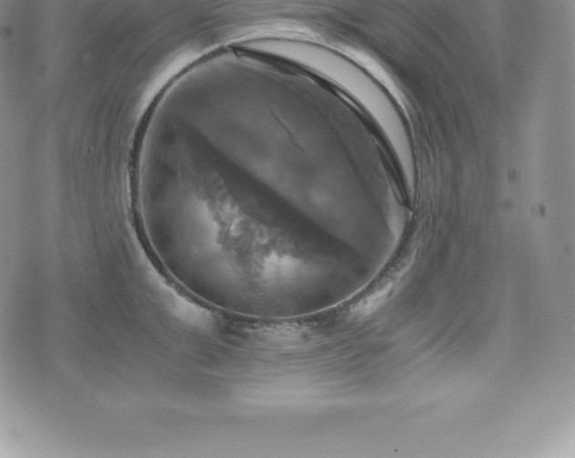 X0000075860999200609151221