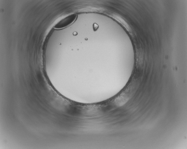 X0000075861000200609151221