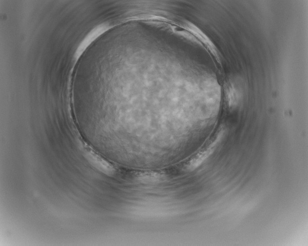 X0000075861002200609151221