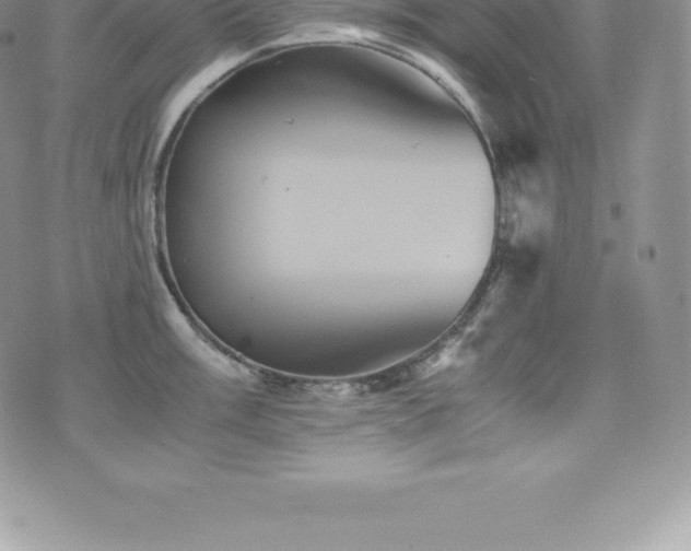 X0000075861003200609151221