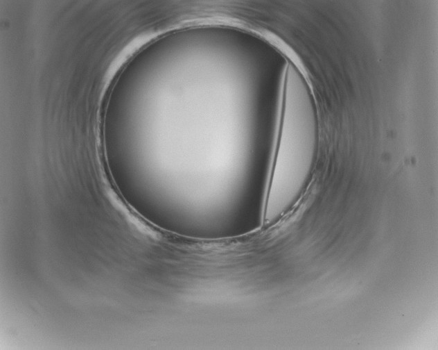 X0000075861005200609151221