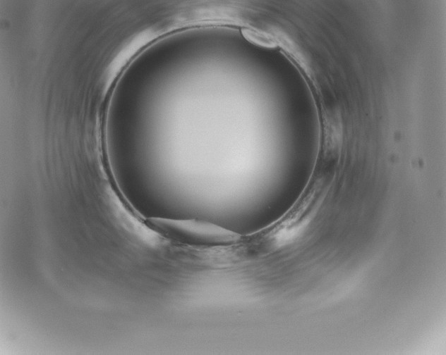 X0000075861006200609151221