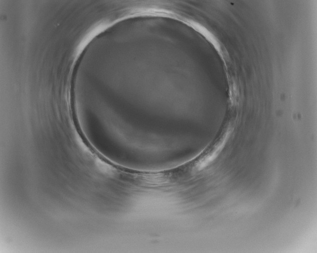 X0000075861007200609151221