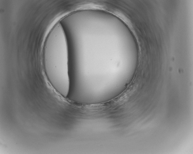 X0000075861008200609151221