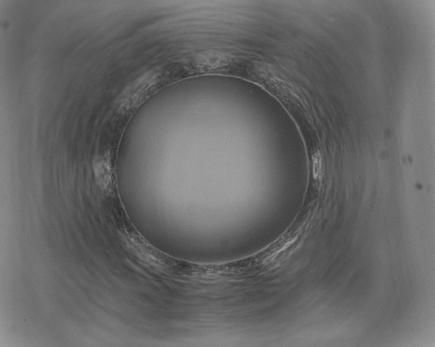X0000075861011200609151220
