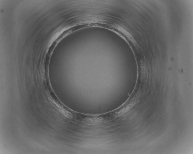 X0000075861023200609151221