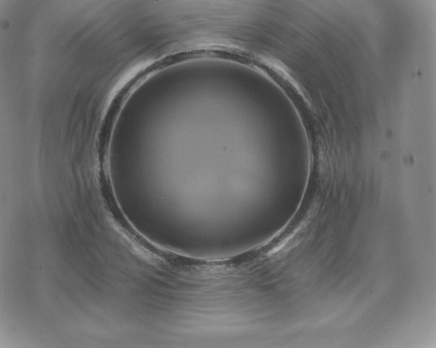 X0000075861024200609151221