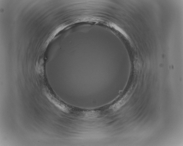 X0000075861025200609151221