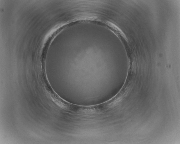 X0000075861027200609151221