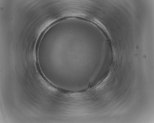 X0000075861028200609151221