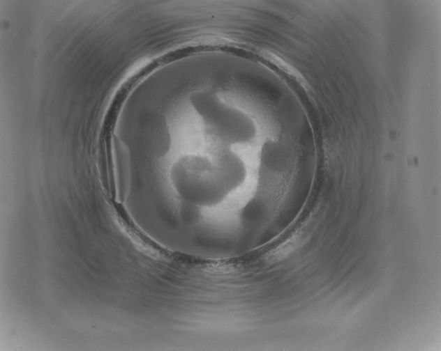 X0000075861029200609151221