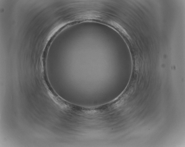 X0000075861031200609151221