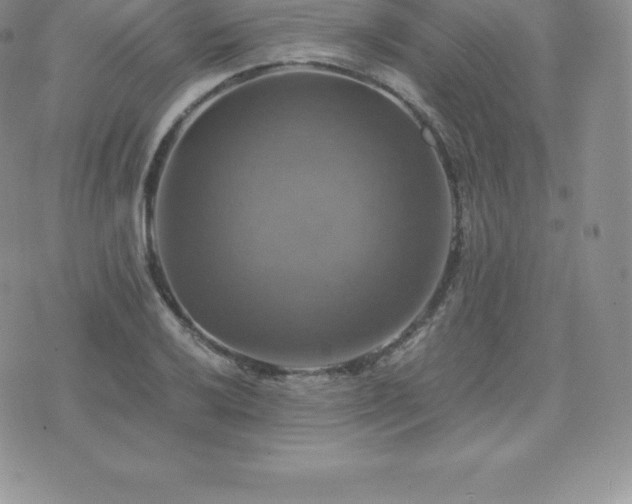 X0000075861032200609151221