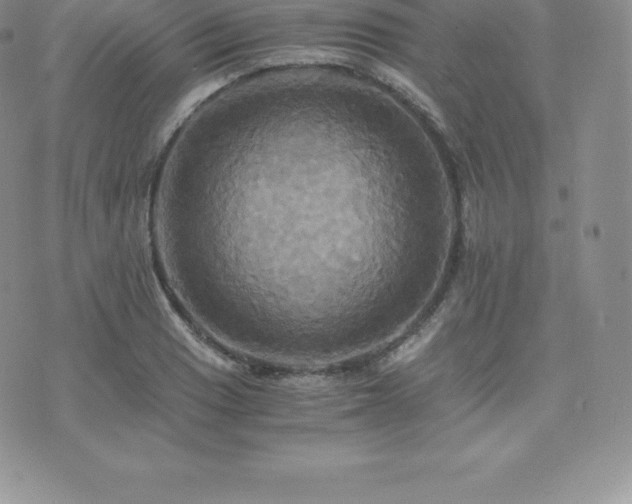 X0000075861033200609151221