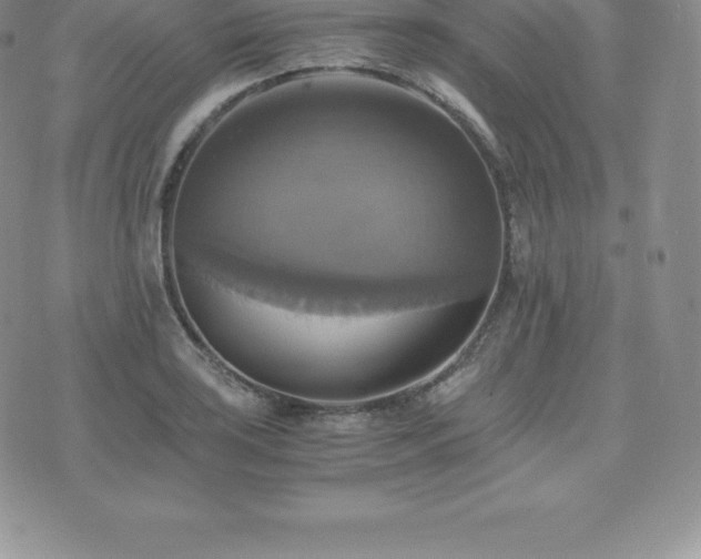 X0000075861035200609151221