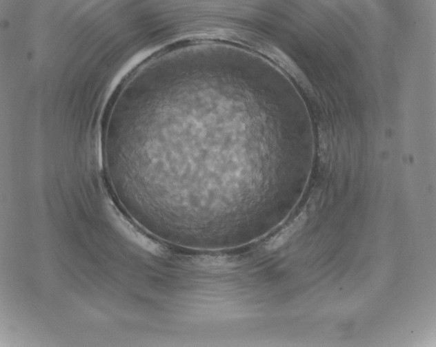 X0000075861036200609151221