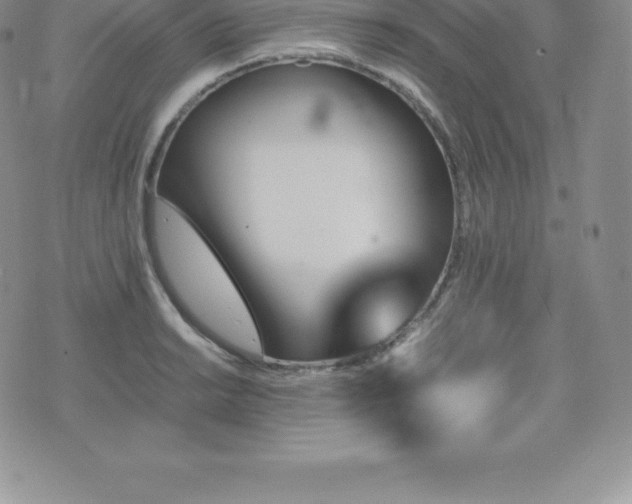 X0000075861038200609151221