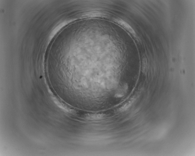 X0000075861039200609151221