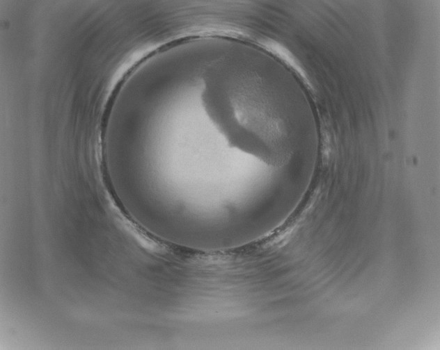 X0000075861040200609151221