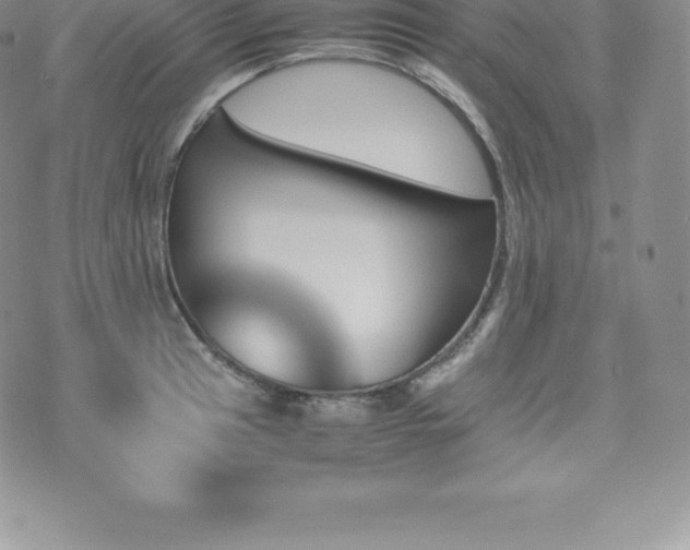 X0000075861041200609151221