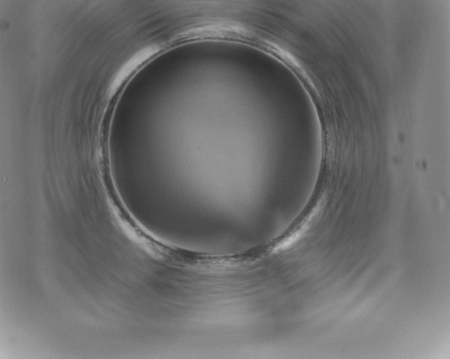 X0000075861042200609151221