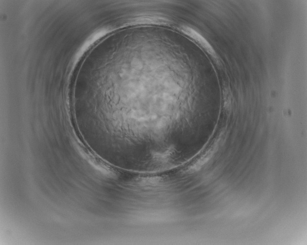 X0000075861043200609151221