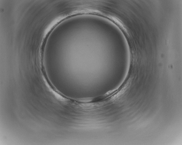 X0000075861046200609151221