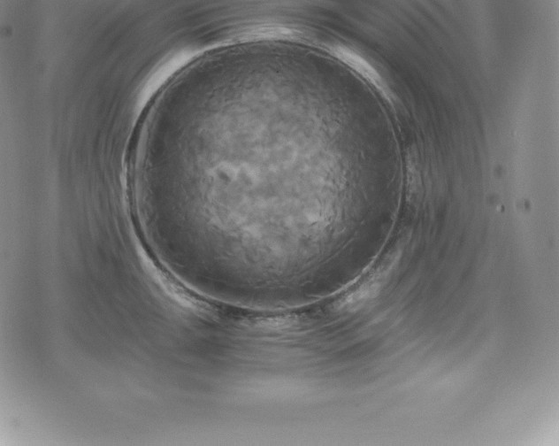 X0000075861047200609151221