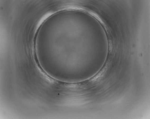 X0000075861048200609151221