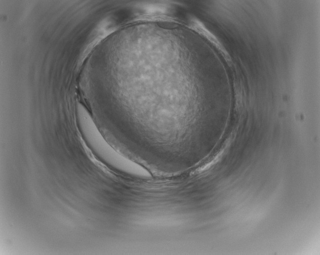 X0000075861049200609151221