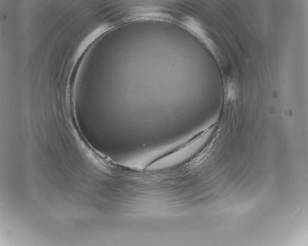 X0000075861050200609151221