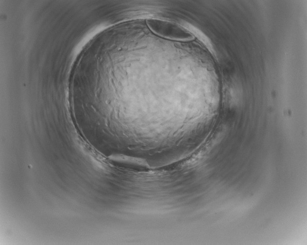 X0000075861051200609151221