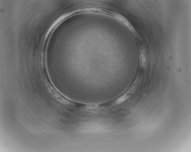 X0000075861052200609151221