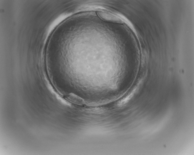 X0000075861053200609151221