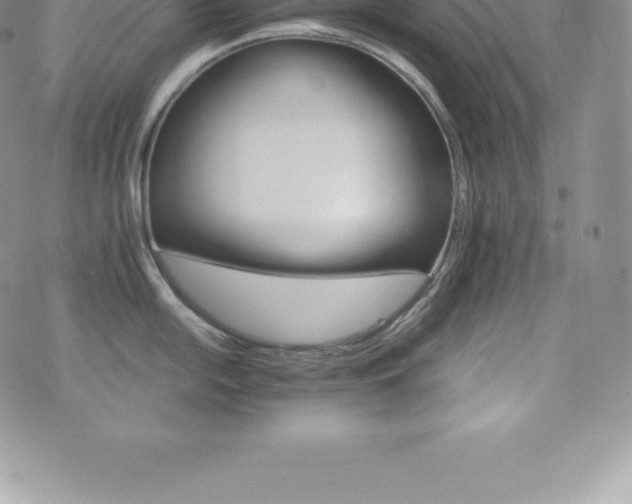 X0000075861054200609151221