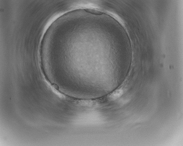 X0000075861056200609151221