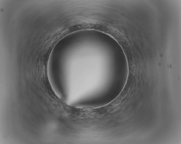 X0000075861061200609151220