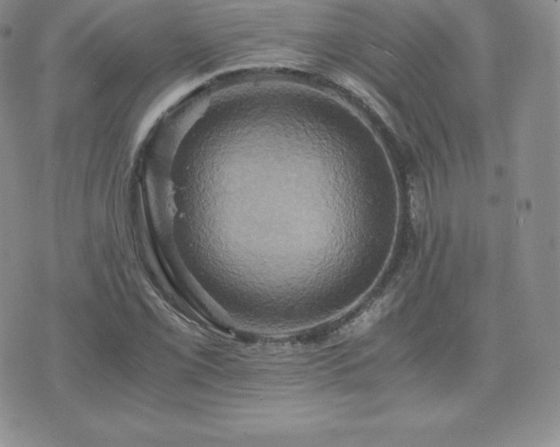 X0000075861069200609151220