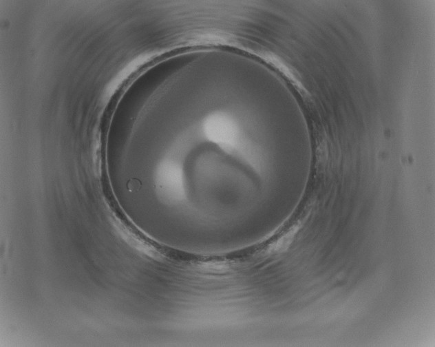 X0000075861126200609151219
