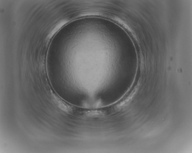 X0000075861137200609151219
