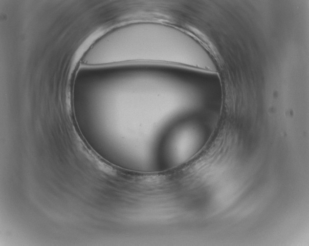 X0000075861188200609151218