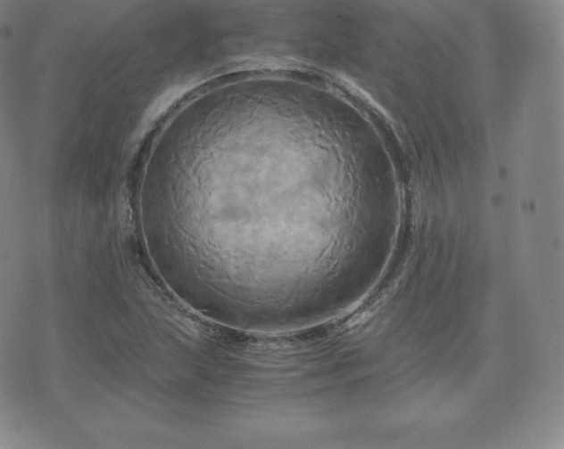 X0000075861215200609151217