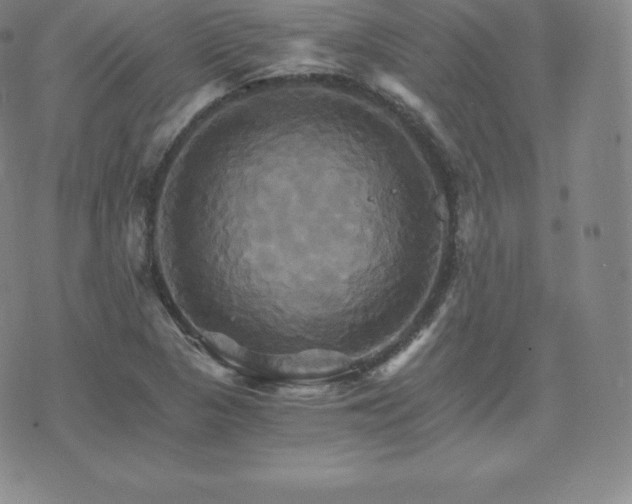 X0000075861313200609151216