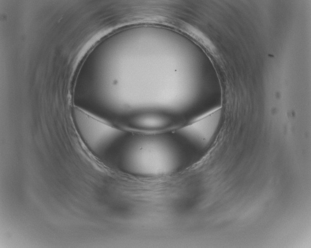 X0000075861332200609151216