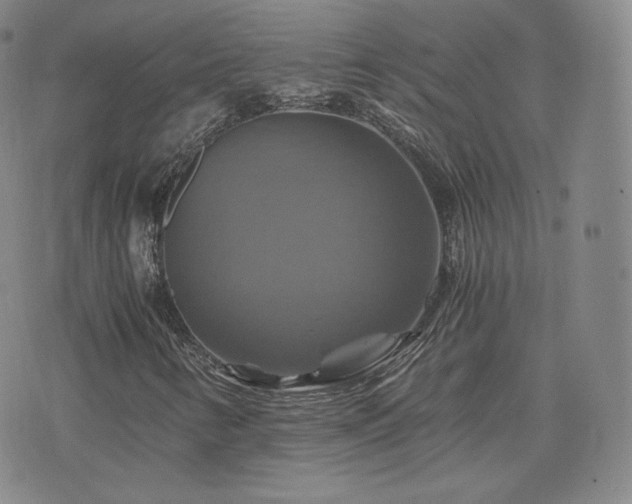 X0000075861346200609151216