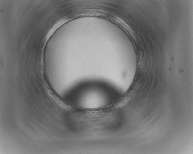 X0000075861378200609151215